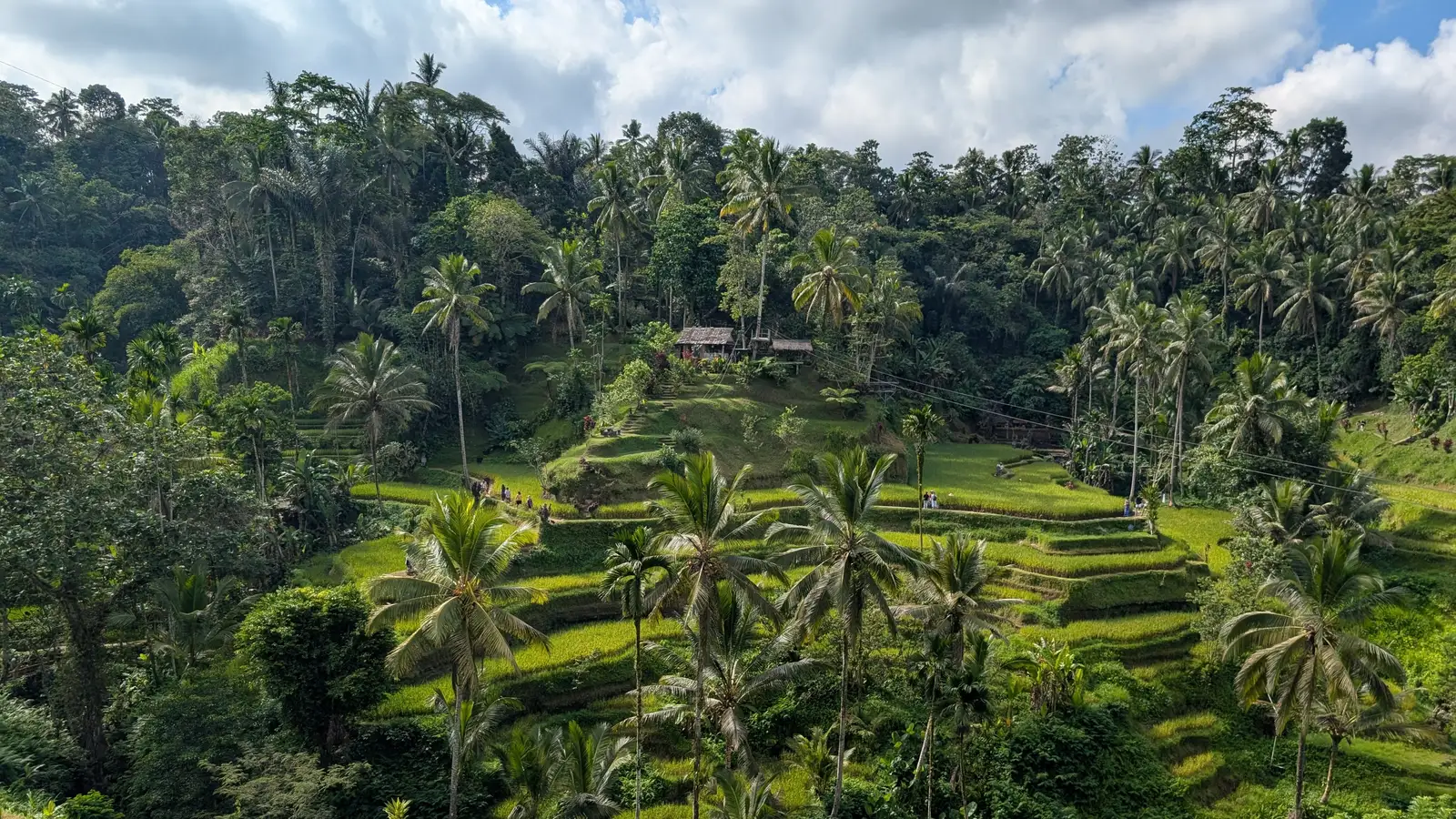 Bali in 7 days: the itinerary the app generated, and what the ground made me change